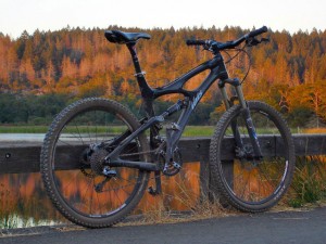 Ibis Mojo - Carbon